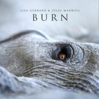 Виниловая пластинка Gerrard, Lisa; Maxwell, Jules - Burn (Coloured Vinyl LP)