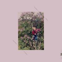 Виниловая пластинка Eyolf Dale - Being (Coloured Vinyl LP)