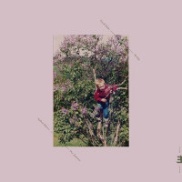 Виниловая пластинка Eyolf Dale - Being (Coloured Vinyl LP)