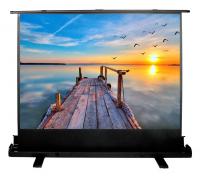Экран Cactus FloorExpert CS-PSFLE-200x113