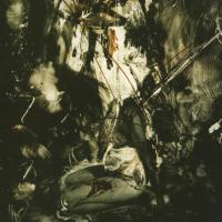 Виниловая пластинка Fields Of The Nephilim -  Elizium (Brick Red Vinyl 2LP)