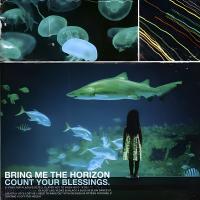Виниловая пластинка Bring Me The Horizon - Count Your Blessings (Black Vinyl LP)