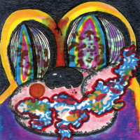 Виниловая пластинка Cage The Elephant - Thank You, Happy Birthday (Black Vinyl LP)