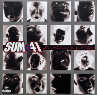 Виниловая пластинка Sum 41 - All Killer, No Filler (Iron Opaque Vinyl 2LP)