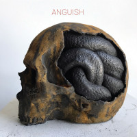 Виниловая пластинка Anguish - Anguish (Black Vinyl LP)
