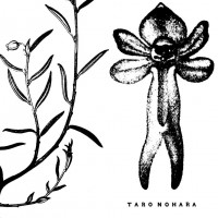 Виниловая пластинка Taro Nohara - Poly?-?Time Soundscapes/ Forest Of The Shrine (BlackVinyl LP)