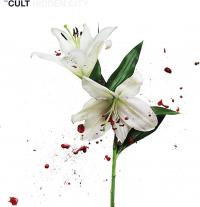 Виниловая пластинка The Cult - Hidden City (Half Speed) (Half-Speed Remaster, Black Vinyl 2LP)