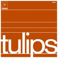 Виниловая пластинка Maston - Tulips (Black Vinyl LP)