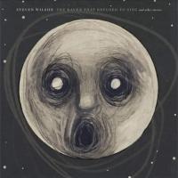 Виниловая пластинка Steven Wilson - The Raven That Refused To Sing (And Other Stories) (Black Vinyl 2LP)