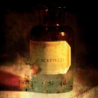 Виниловая пластинка Blackfield - Blackfield (20th Anniversary Marble Vinyl LP)