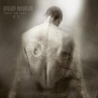 Виниловая пластинка Omnium Gatherum - Steal The Light (Black Vinyl LP)