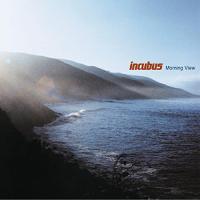 Виниловая пластинка Incubus MORNING VIEW (180 Gram)
