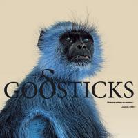 Виниловая пластинка Godsticks - This Is What A Winner Looks Like (Black Vinyl LP)