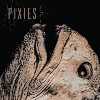 Виниловая пластинка Pixies - Complete B-Sides 1988-1997 (Black Vinyl 2LP)