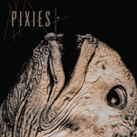 Виниловая пластинка Pixies - Complete B-Sides 1988-1997 (Black Vinyl 2LP)