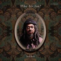 Виниловая пластинка Joel Ross - Who Are You?