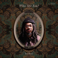 Виниловая пластинка Joel Ross - Who Are You?