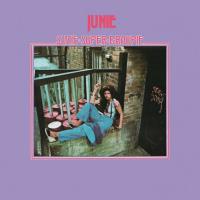 Виниловая пластинка Junie - Suzie Super Groupie (Black Vinyl LP)