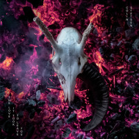 Виниловая пластинка Colin Stetson - The Love It Took To Leave You (Black Vinyl 2LP)