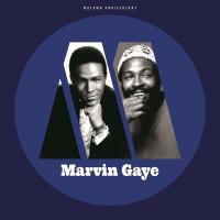 Виниловая пластинка Marvin Gaye - Motown Anniversary (Black Vinyl LP)