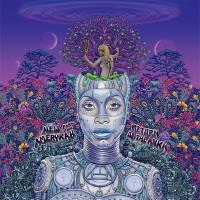Виниловая пластинка Erykah Badu - New Amerykah Part Two (Black Vinyl 2LP)