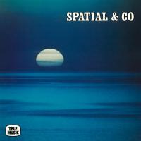 Виниловая пластинка Sauveur Mallia - Spatial & Co (Black Vinyl LP)