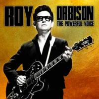 Виниловая пластинка ROY ORBISON - THE POWERFUL VOICE (LP)