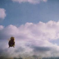 Виниловая пластинка Pond -  Stung! (Limited Splatter Bee Vinyl 2LP)