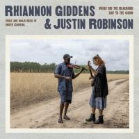 Виниловая пластинка Rhiannon Giddens; Robinson, Justin - What Did The Blackbird Say To The Crow (Black Vinyl LP)