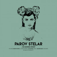 Виниловая пластинка Parov Stelar - The Burning Spider (Black Vinyl 2LP)