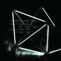 Виниловая пластинка Seefeel - (Ch-Vox) Redux (Black Vinyl 2LP)