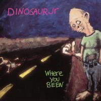 Виниловая пластинка Dinosaur Jr. - Where You Been (Limited Deluxe Edition, Blue Vinyl 2LP)