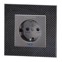 Сетевая розетка Furutech FT-SWS NCF (R)