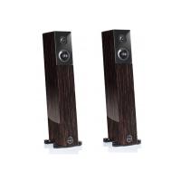 Напольная акустика Audio Physic Avanti Black Ebony High Gloss