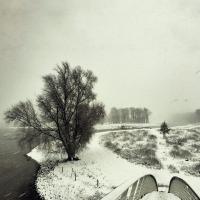 Виниловая пластинка Beequeen - Winter (Black Vinyl LP)