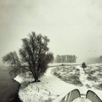 Виниловая пластинка Beequeen - Winter (Black Vinyl LP)