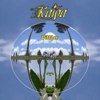 Виниловая пластинка Kaipa - Vittjar (Blue Transparent Vinyl 2LP)