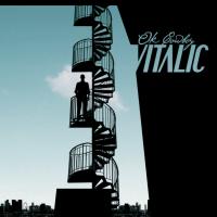 Виниловая пластинка Vitalic - Ok Cowboy (Sparkled Viny 2LP)