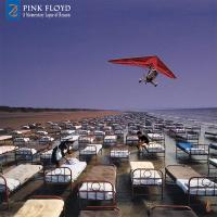 Виниловая пластинка Pink Floyd - A Momentary Lapse Of Reason (Remixed & Updated) Black Vinyl 2LP)