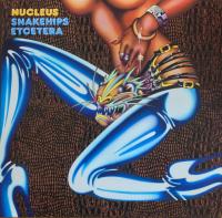 Виниловая пластинка Nucleus - Snakehips Etcetera (Black Vinyl LP)