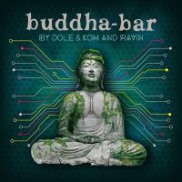 Виниловая пластинка Buddha Bar - By Dole & Kom And Ravin (Pink and Yellow Vinyl 2LP)