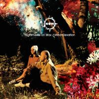 Виниловая пластинка Nightmares On Wax - Mind Elevation (Black Vinyl 2LP)