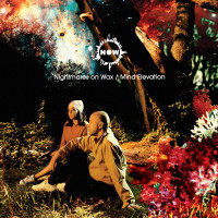 Виниловая пластинка Nightmares On Wax - Mind Elevation (Black Vinyl 2LP)