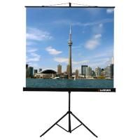 Экран Lumien Eco View (1:1) 200x200 см Matte White LEV-100103
