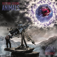 Виниловая пластинка Pattern-Seeking Animals - Spooky Action At A Distance (Black Vinyl 2LP)