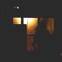 Виниловая пластинка Sachal Vasandani - Midnight Shelter (Coloured Vinyl LP)