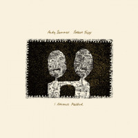 Виниловая пластинка Robert Fripp, Summers, Andy - I Advance Masked (Black Vinyl LP)