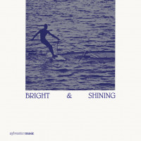 Виниловая пластинка Barbara Moore - Bright And Shining (Black Vinyl LP)