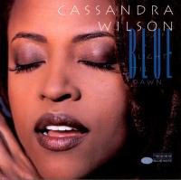 Виниловая пластинка Cassandra Wilson - Blue Light 'Til Dawn (Analogue) (Black Vinyl 2LP)