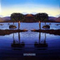 Виниловая пластинка Bruce Dickinson - Skunkworks (180 Gram Black Vinyl 2LP)